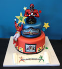 Zoo cake