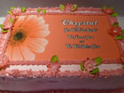 Chocolate cake